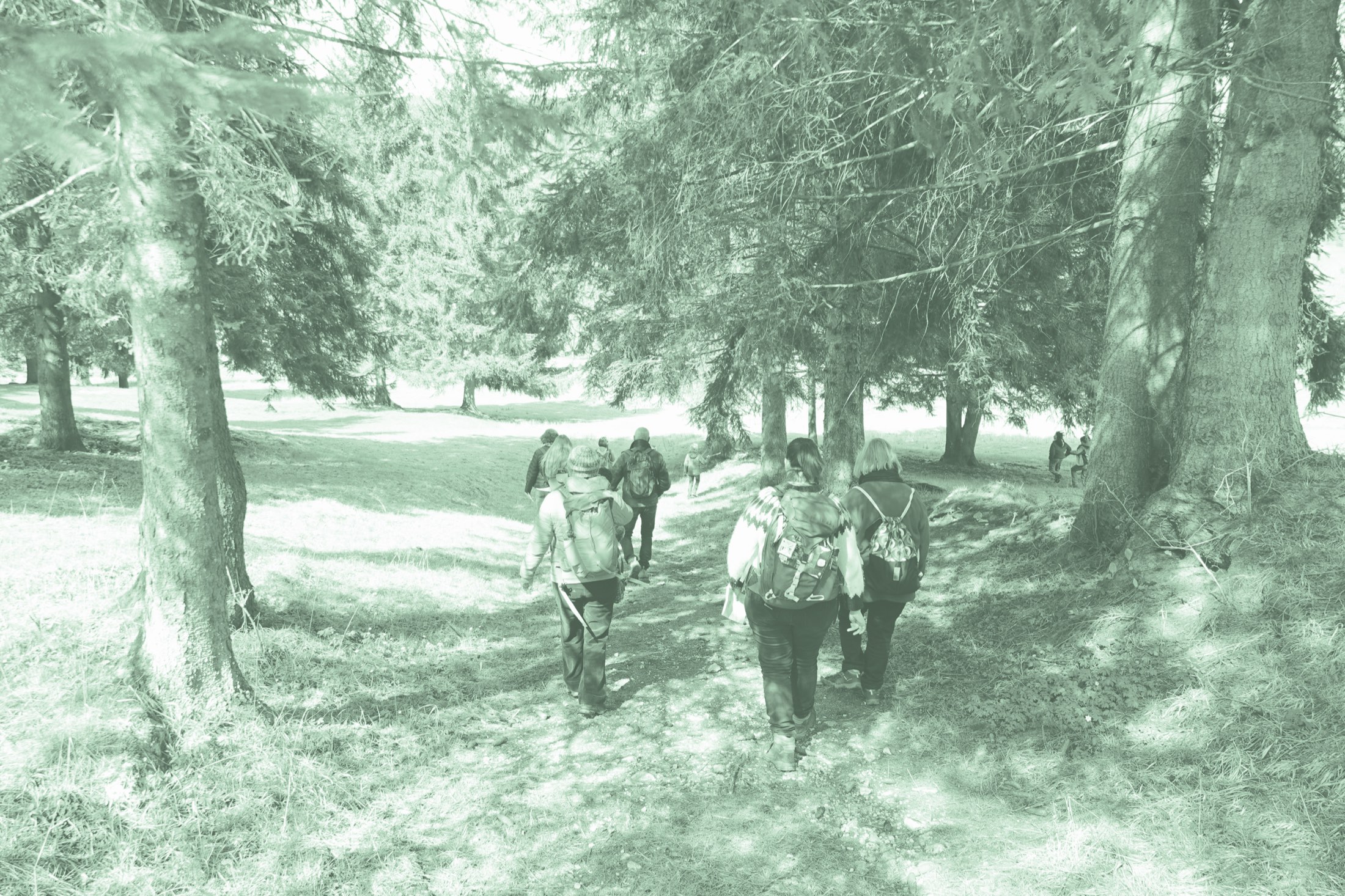 Groupe de personnes marchant en forêt